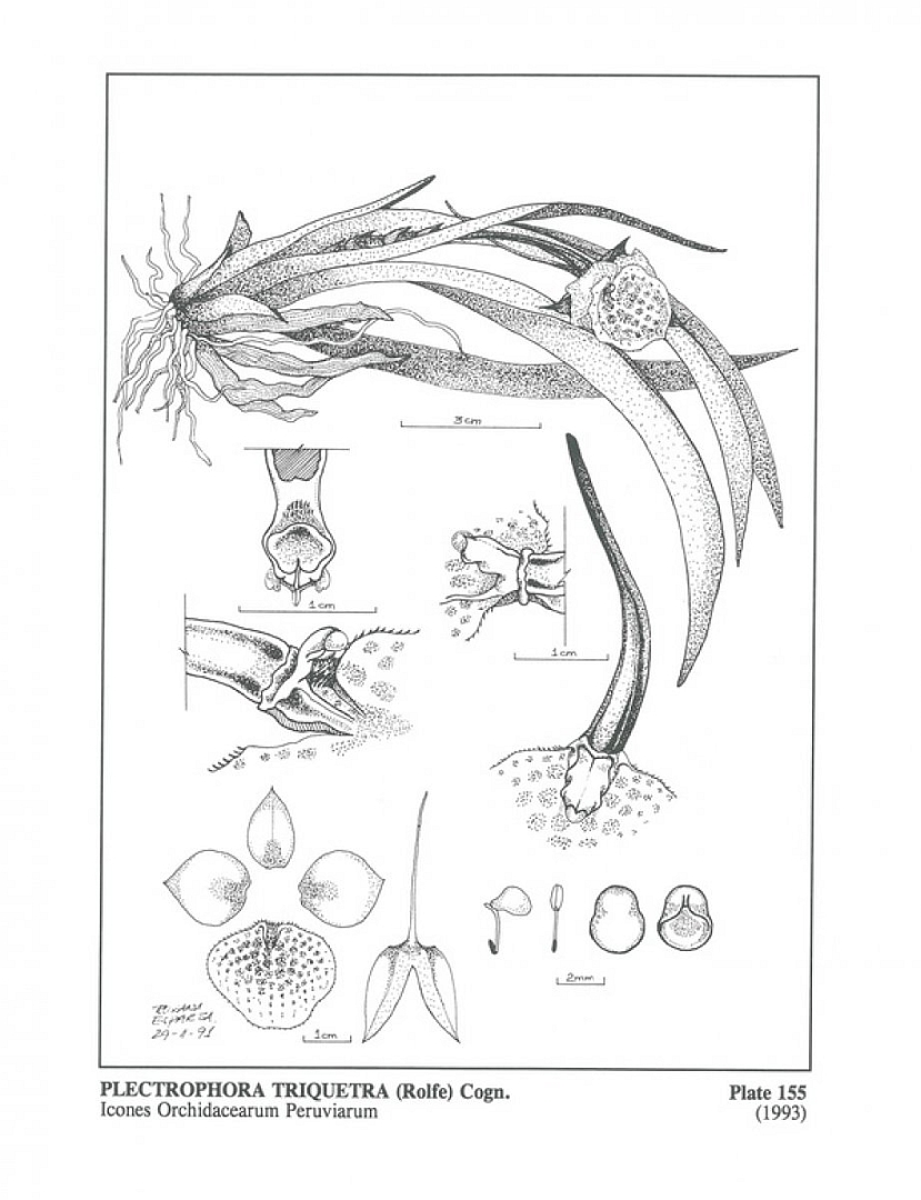 no HD illustration available (3)