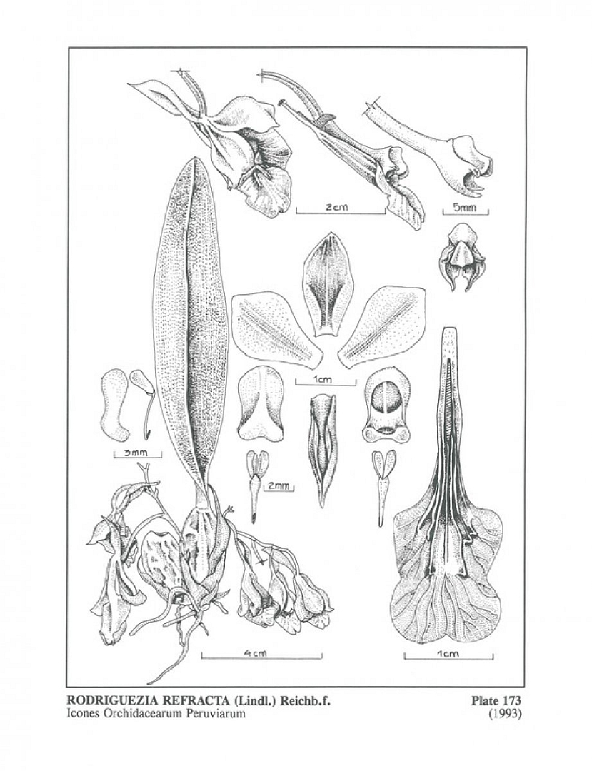 no HD illustration available (3)