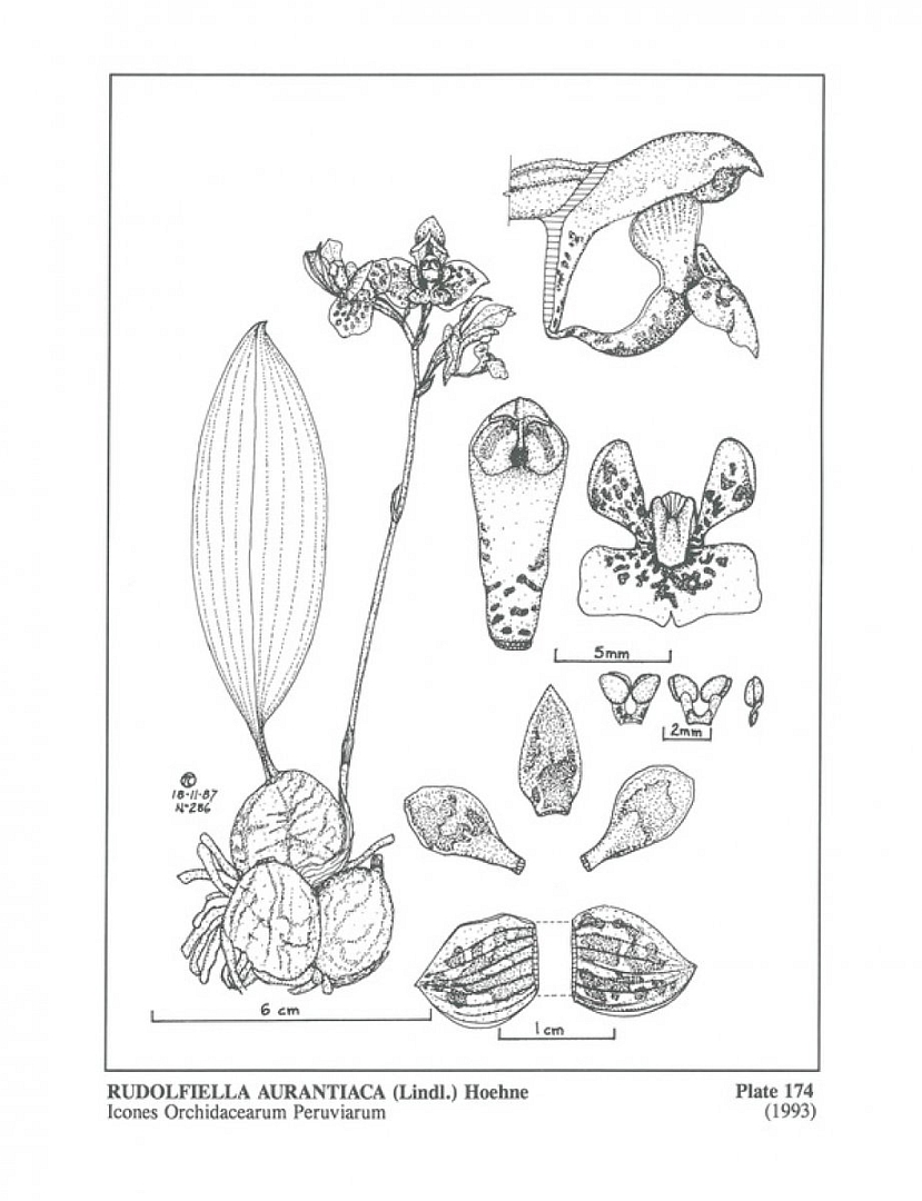 no HD illustration available (3)