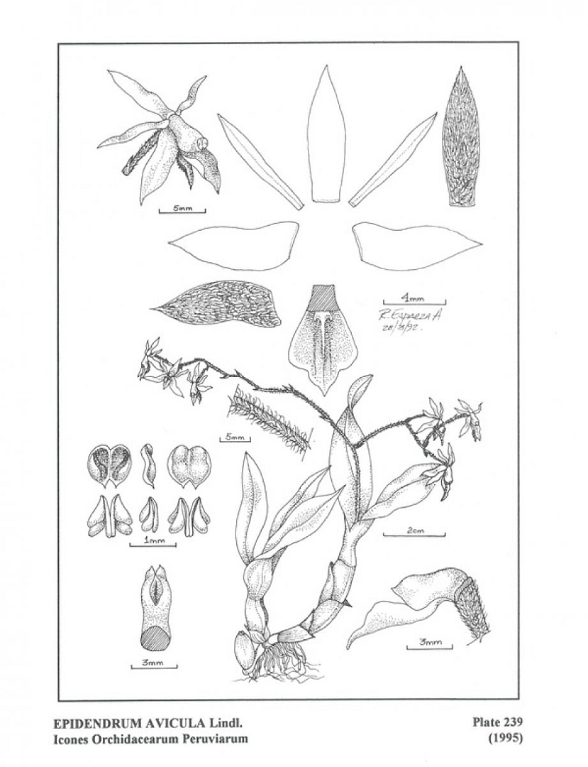 no HD illustration available (3)