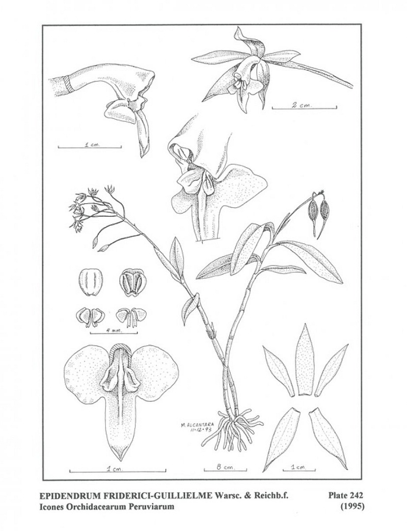 no HD illustration available (3)