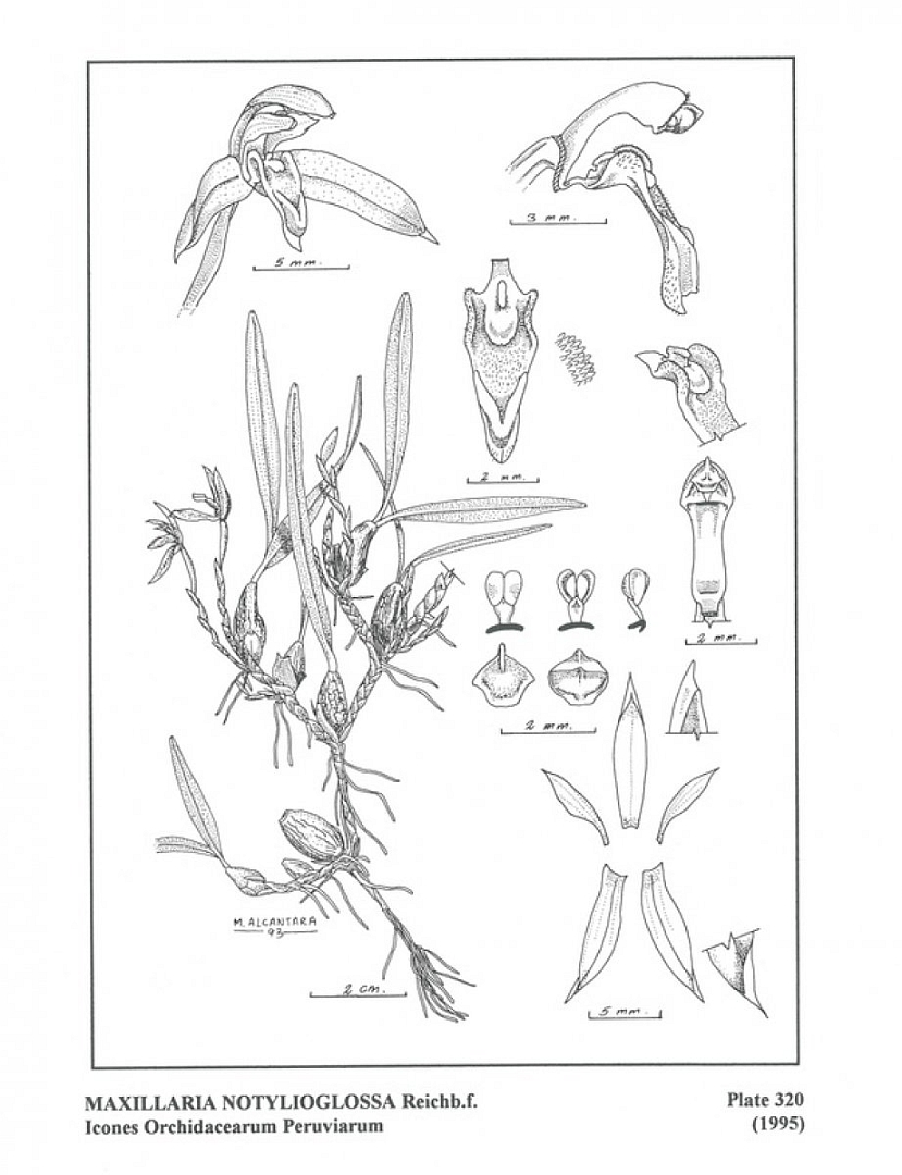 no HD illustration available (3)