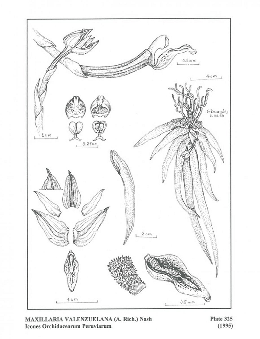 no HD illustration available (3)