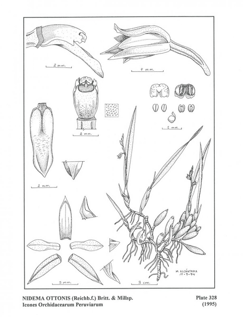 no HD illustration available (3)
