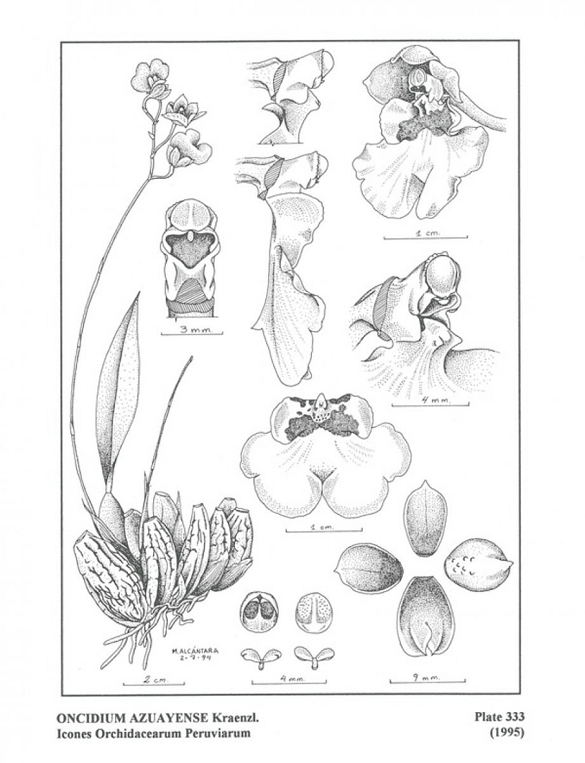 no HD illustration available (3)