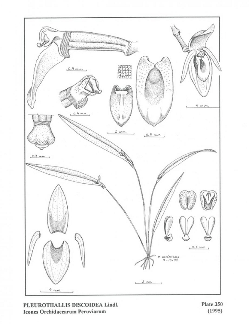 no HD illustration available (3)