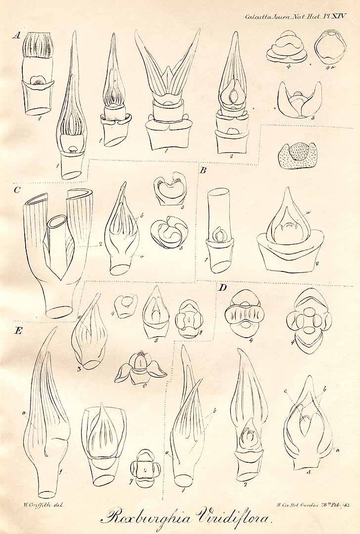 no HD illustration available (3)