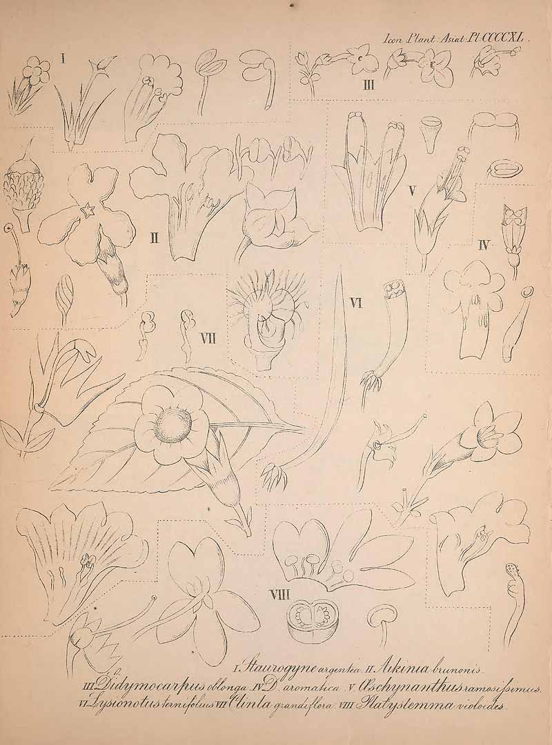 no HD illustration available (3)