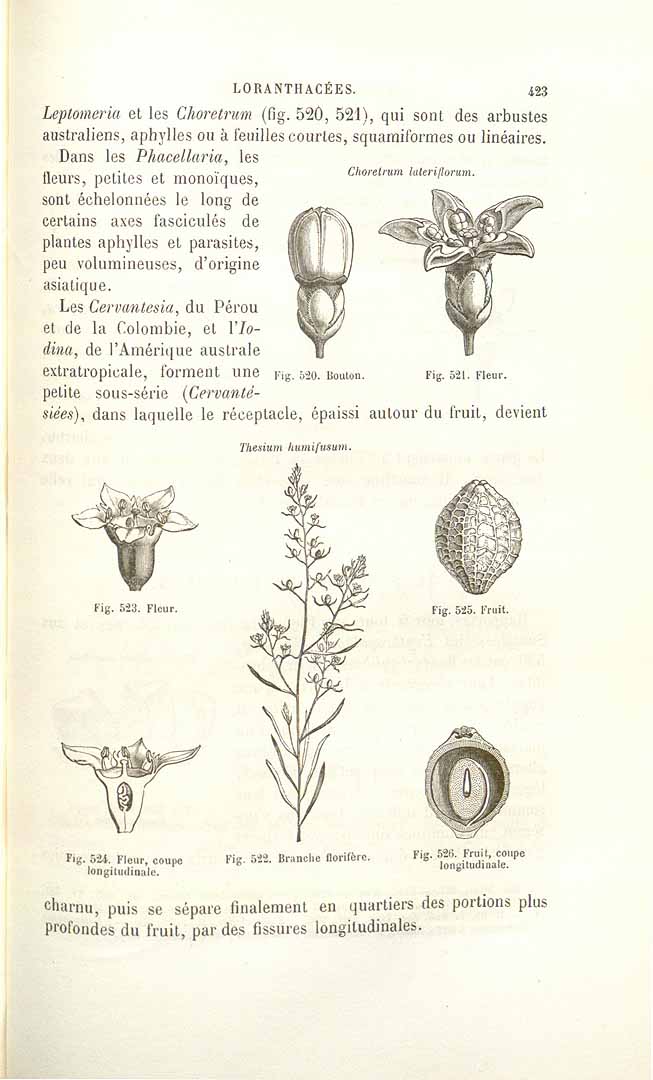 no HD illustration available (3)