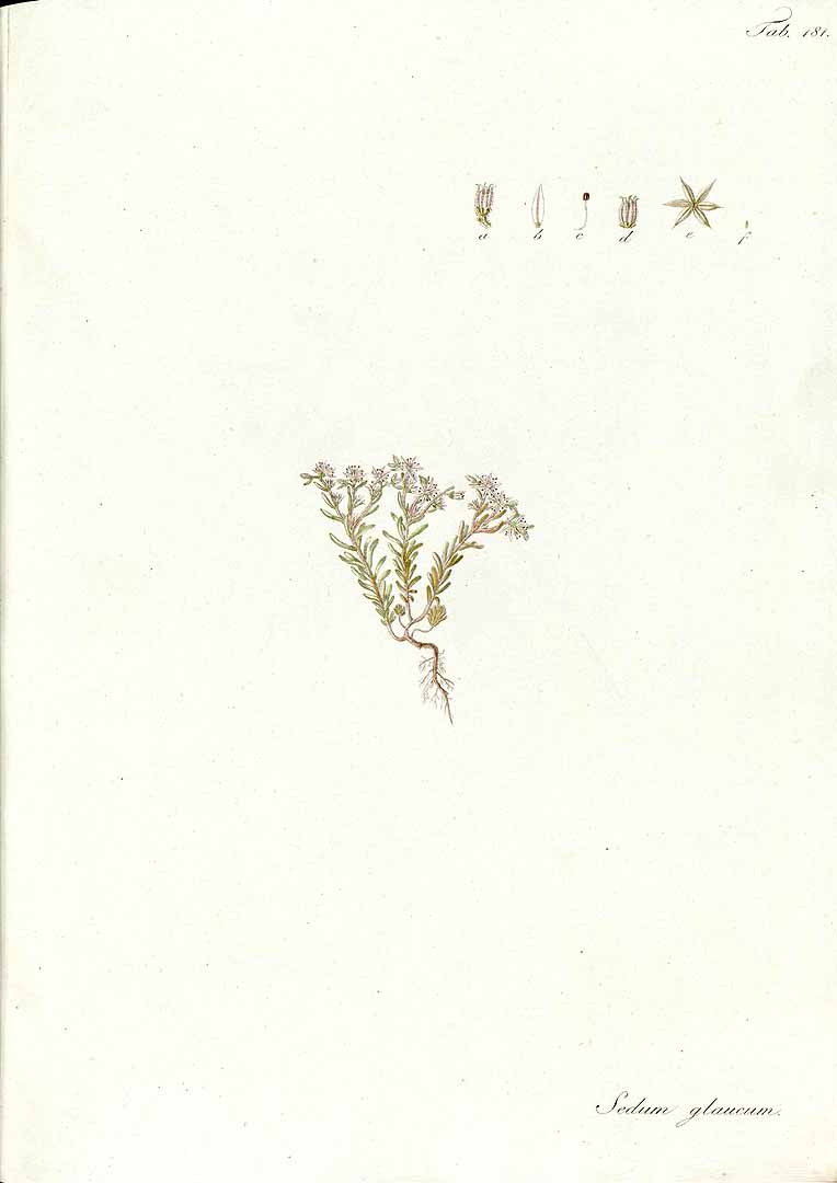 no HD illustration available (3)