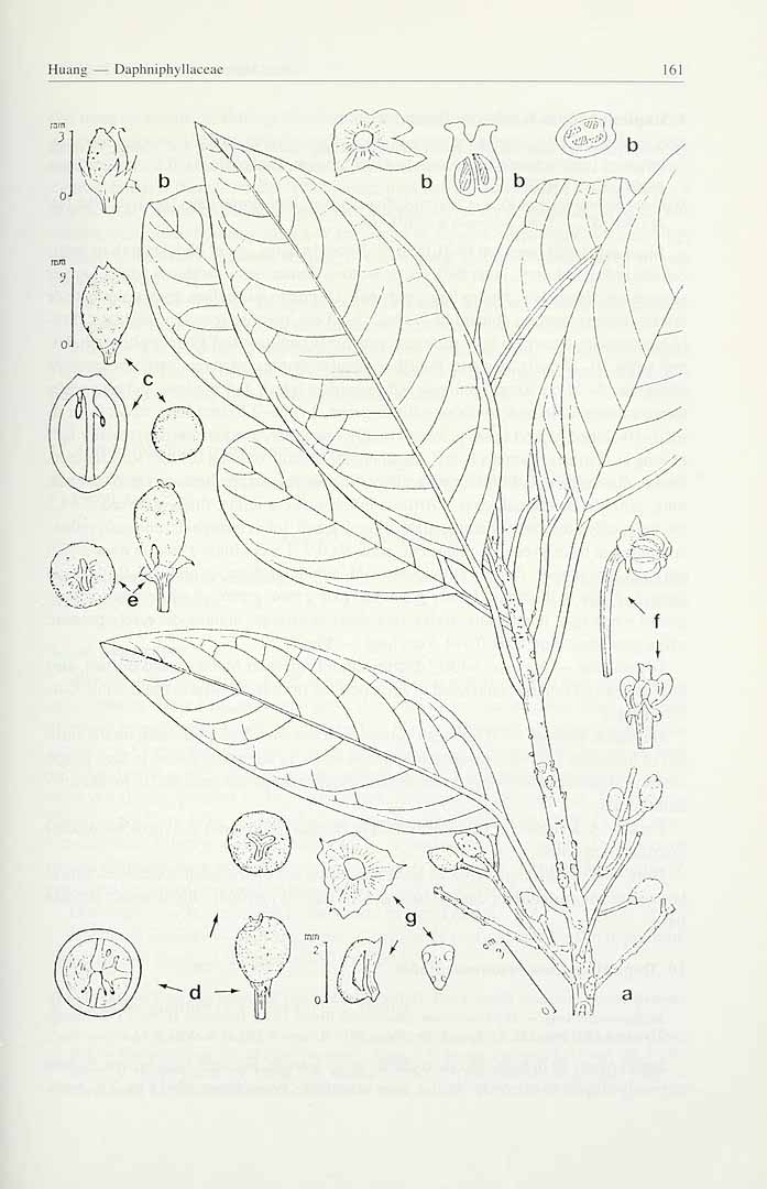 no HD illustration available (3)