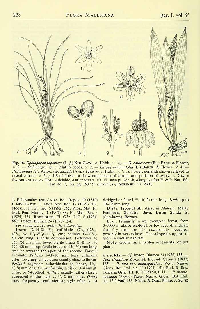 no HD illustration available (3)
