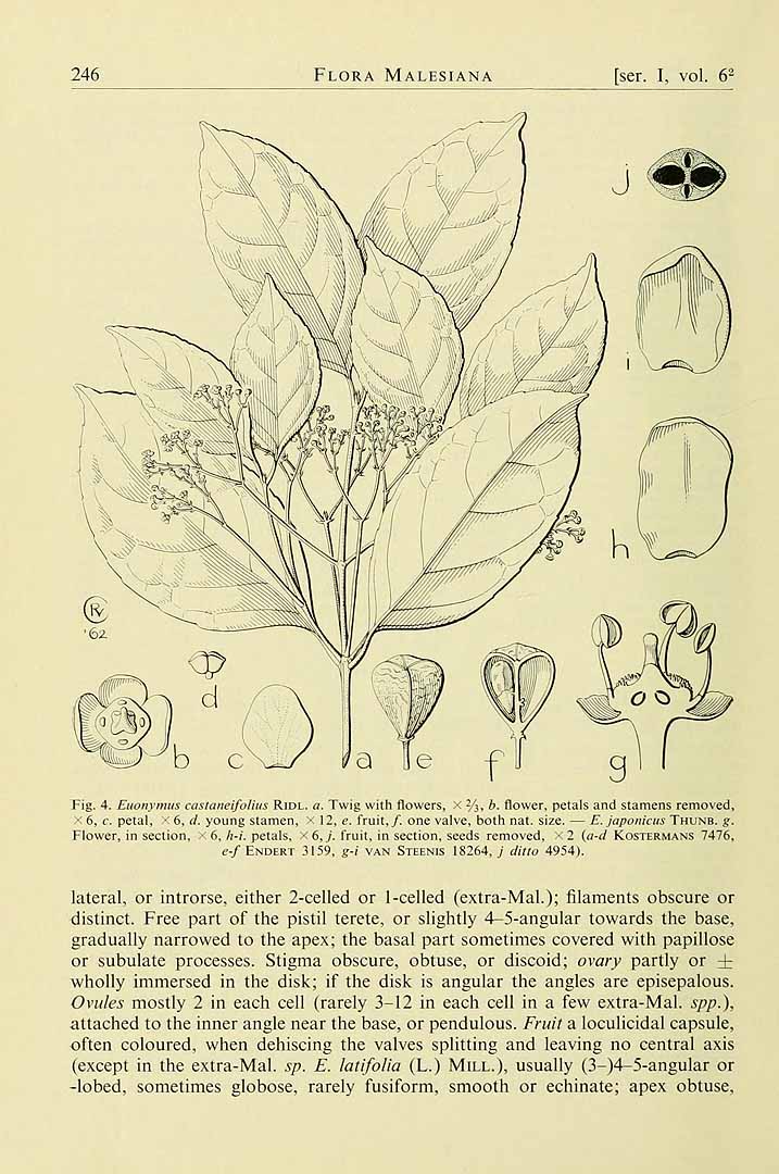 no HD illustration available (3)