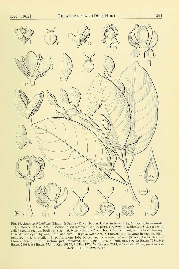 no HD illustration available (3)