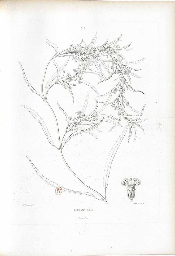 no HD illustration available (3)
