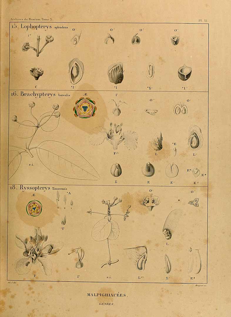 no HD illustration available (3)