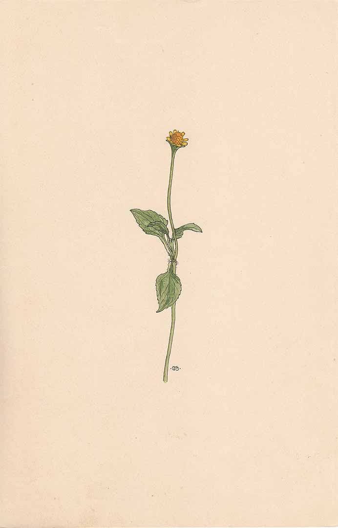 no HD illustration available (3)