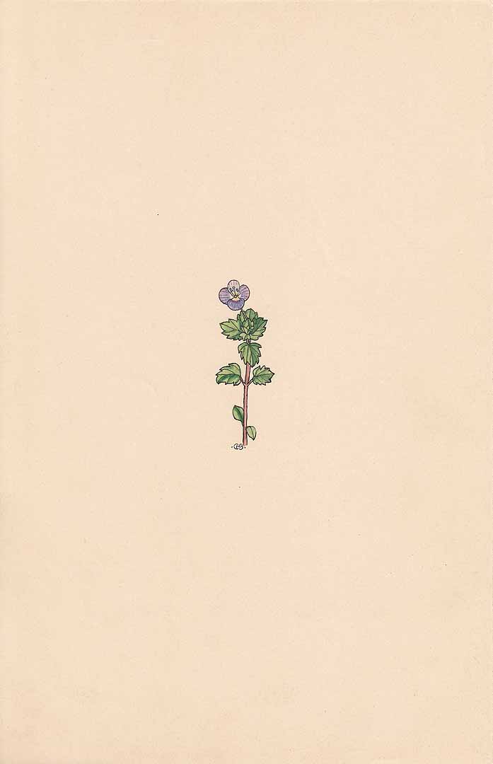 no HD illustration available (m1)