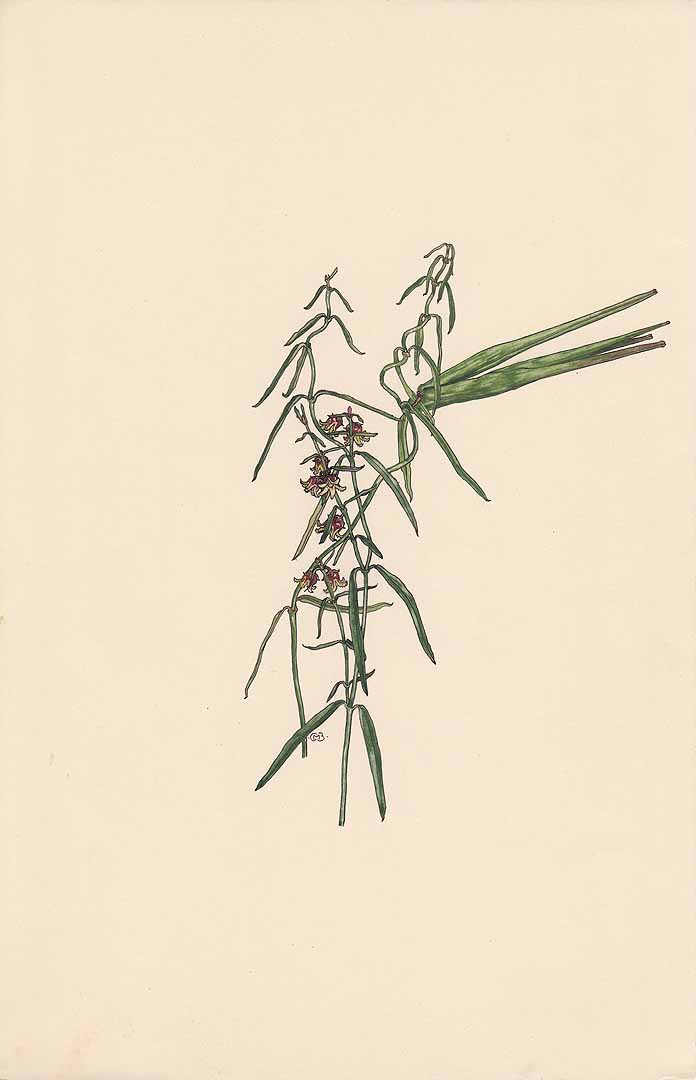 no HD illustration available (3)