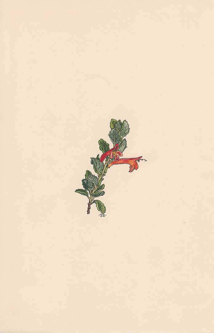 no HD illustration available (3)