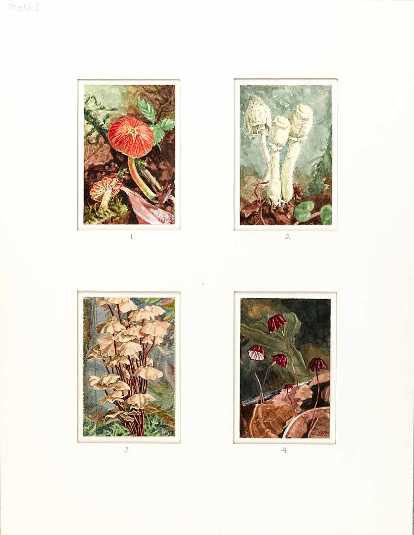 no HD illustration available (m1)