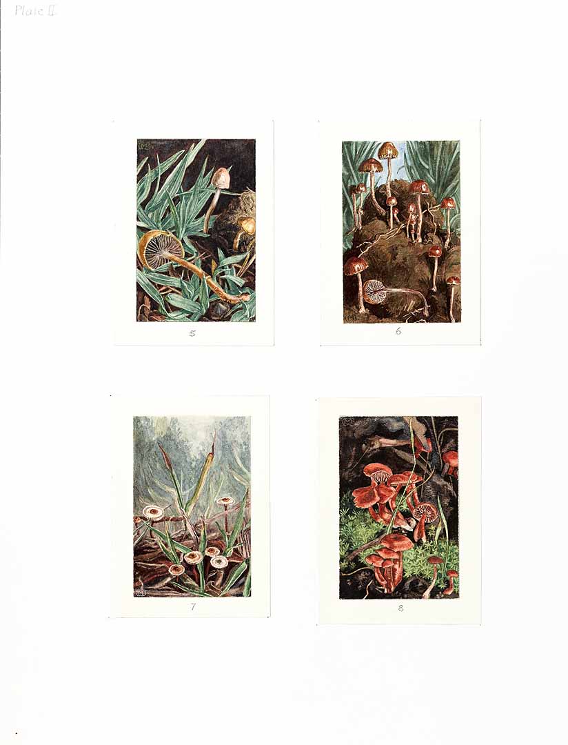 no HD illustration available (m1)