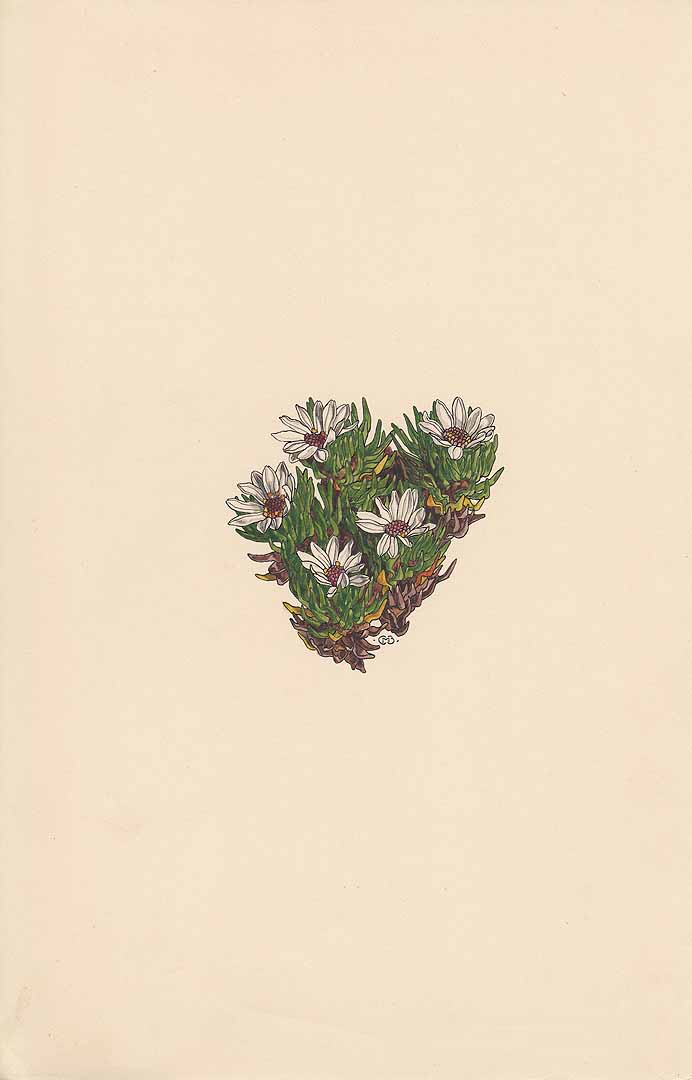 no HD illustration available (3)