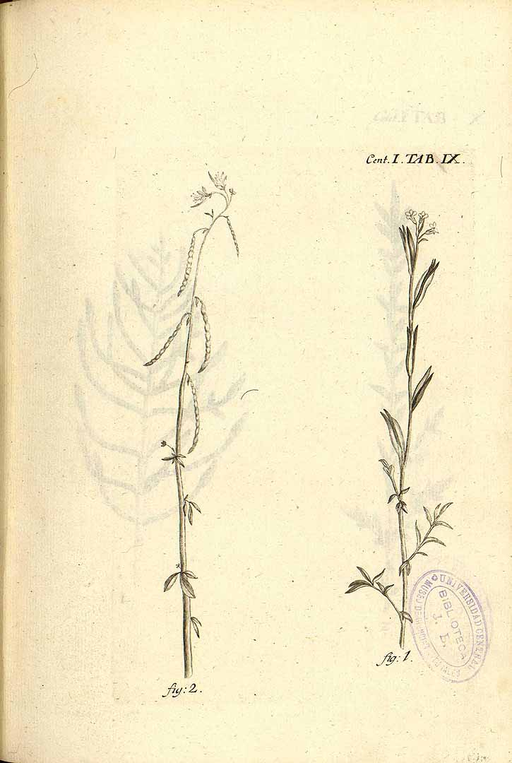 no HD illustration available (3)