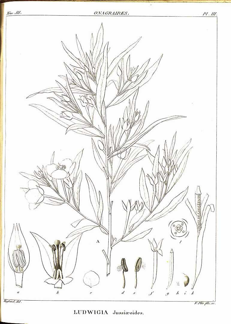 no HD illustration available (3)