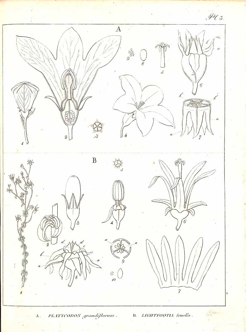 no HD illustration available (3)