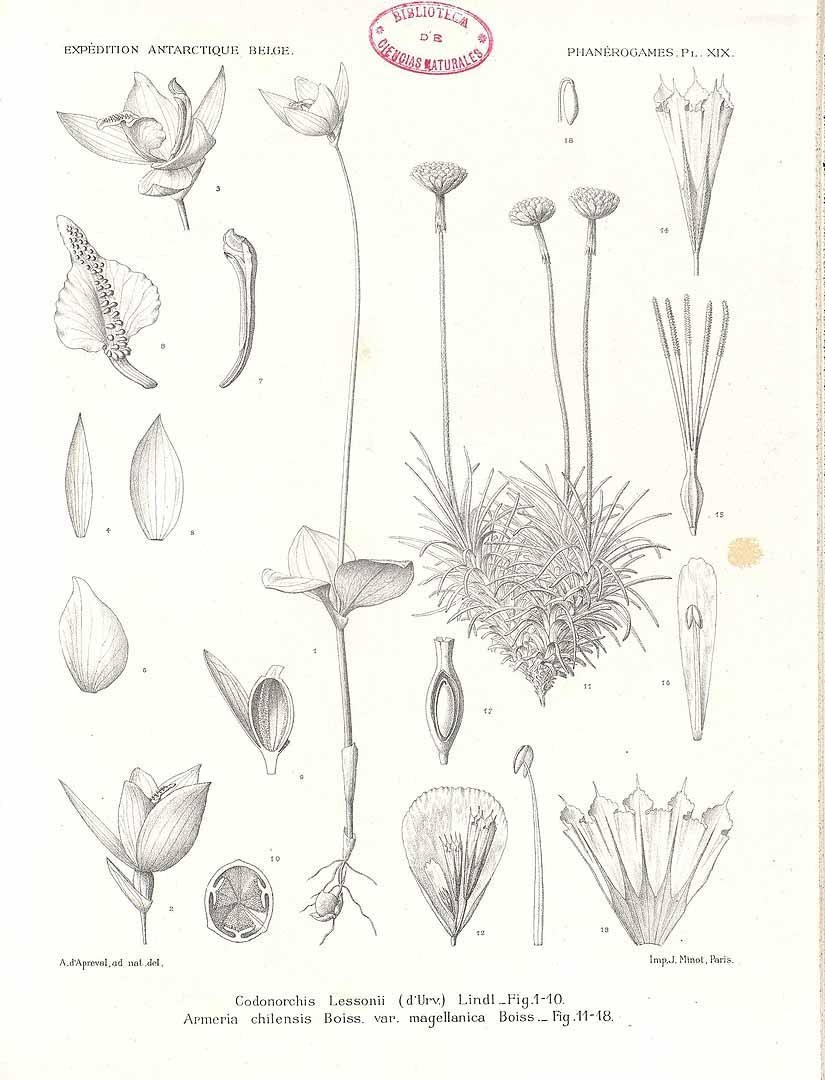 no HD illustration available (3)