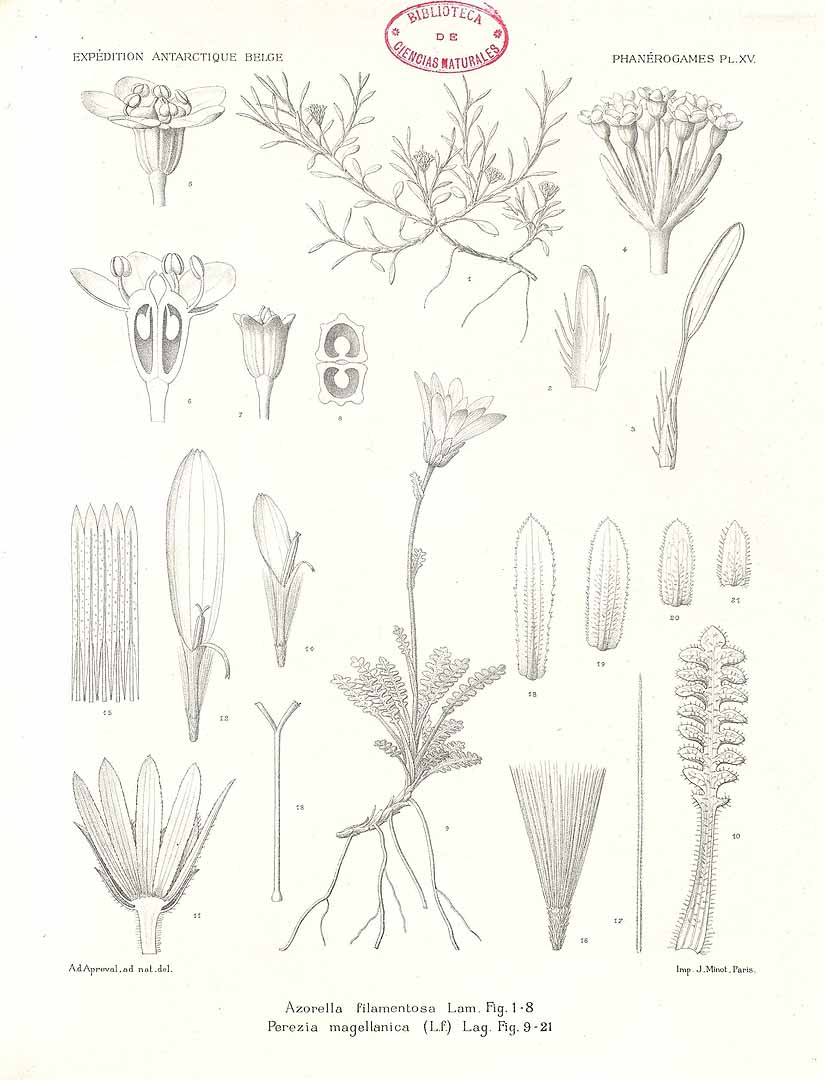 no HD illustration available (3)
