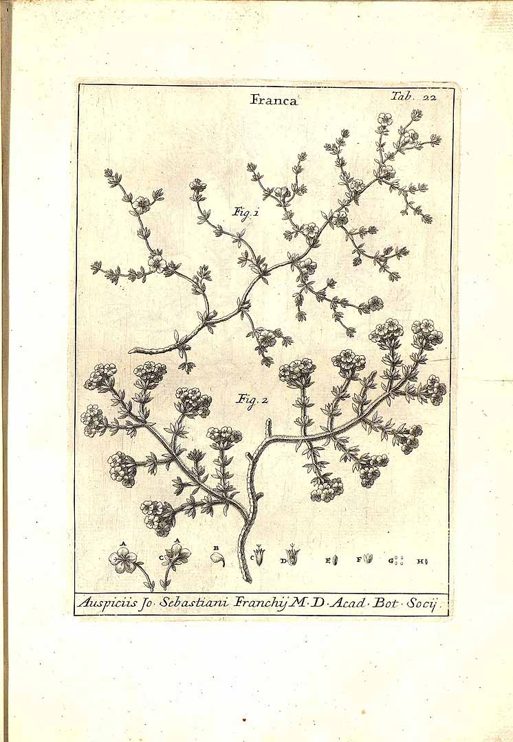 no HD illustration available (3)