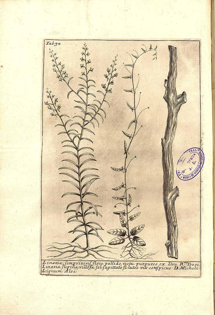 no HD illustration available (3)