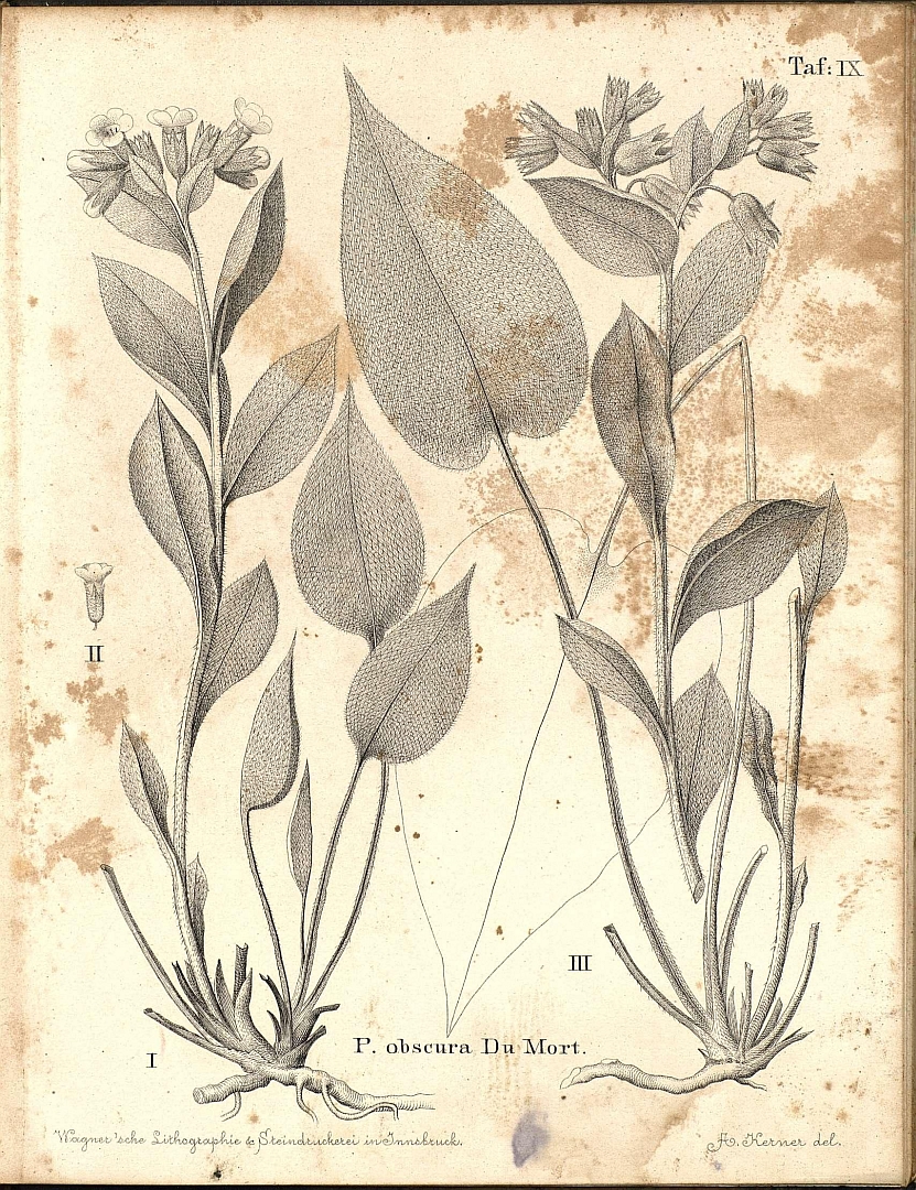 no HD illustration available (3)
