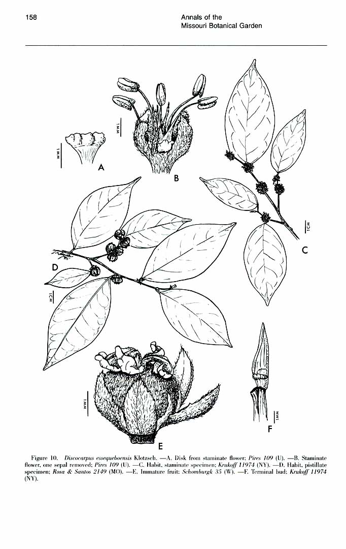 no HD illustration available (3)