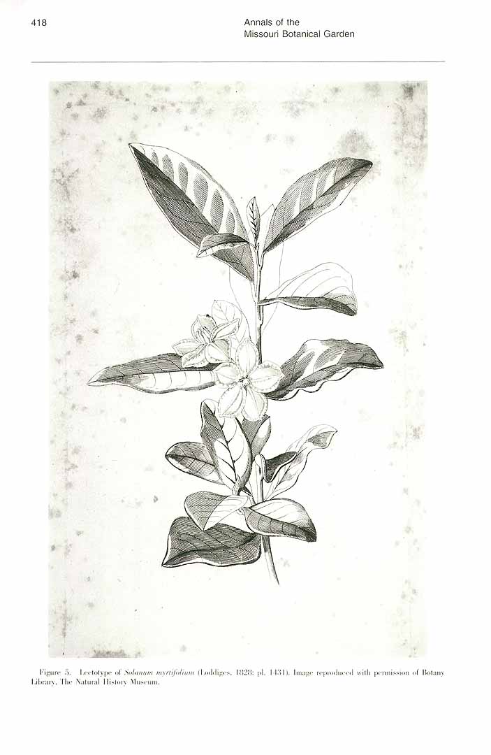 no HD illustration available (3)