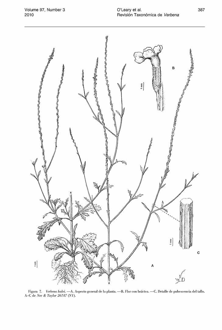 no HD illustration available (3)