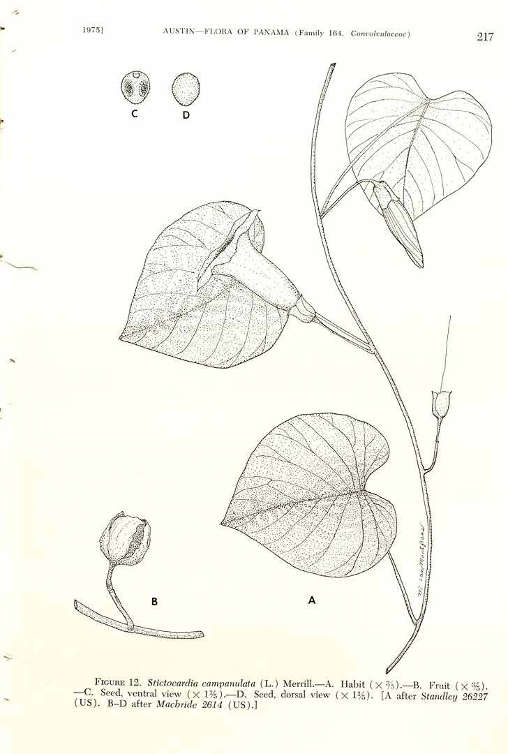 no HD illustration available (3)
