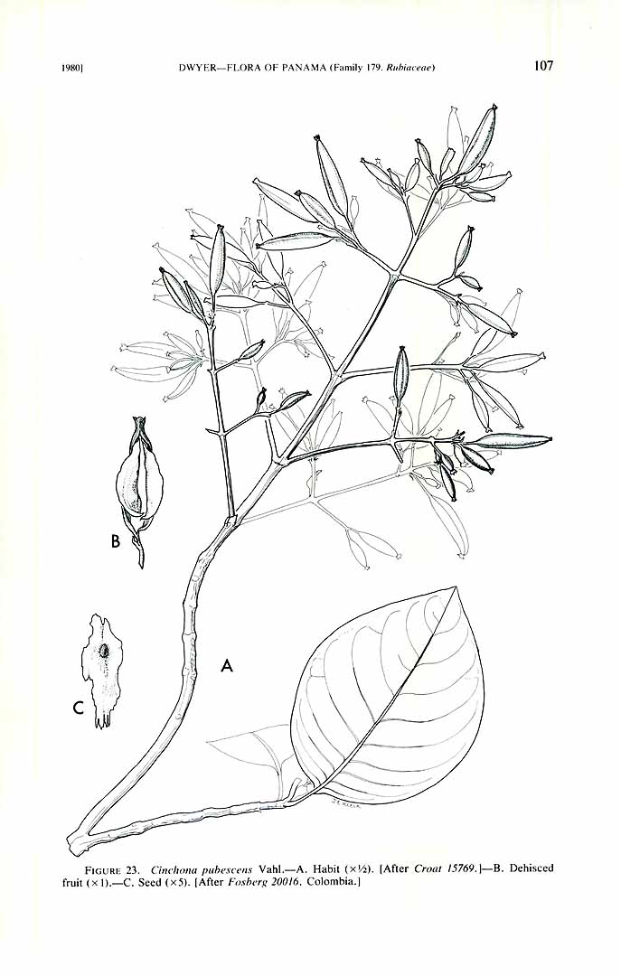 no HD illustration available (3)
