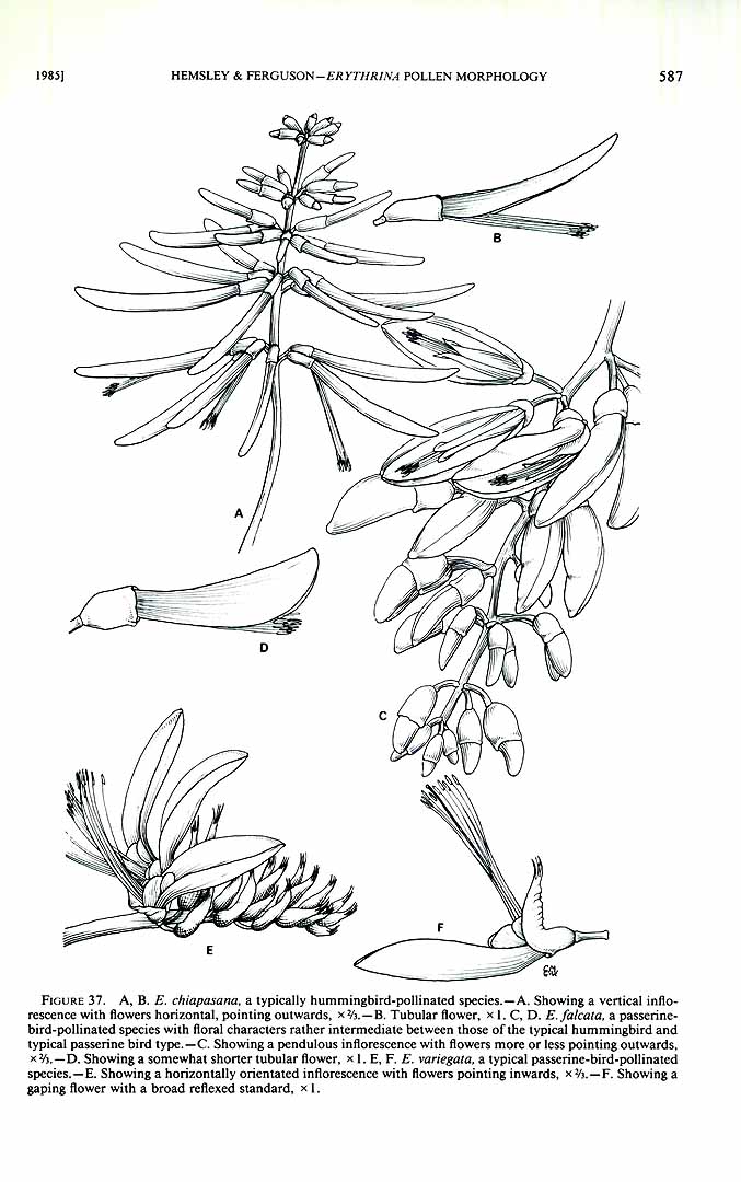 no HD illustration available (3)