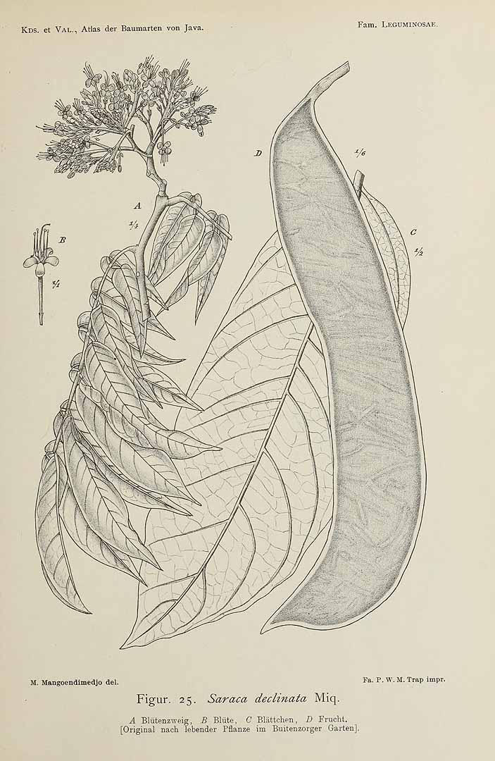 no HD illustration available (3)