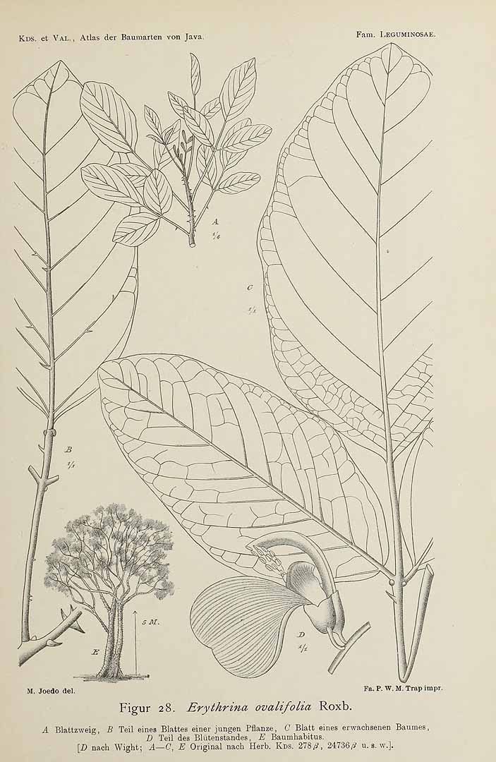 no HD illustration available (3)
