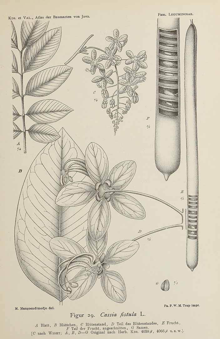 no HD illustration available (3)