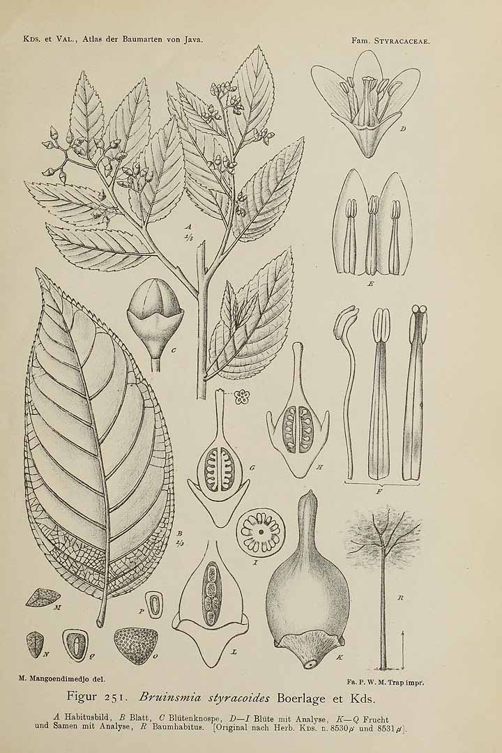 no HD illustration available (3)