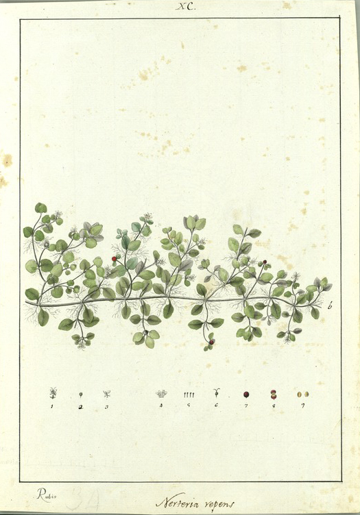 no HD illustration available (3)