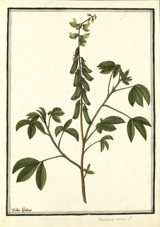 no HD illustration available (3)