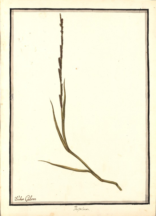 no HD illustration available (3)