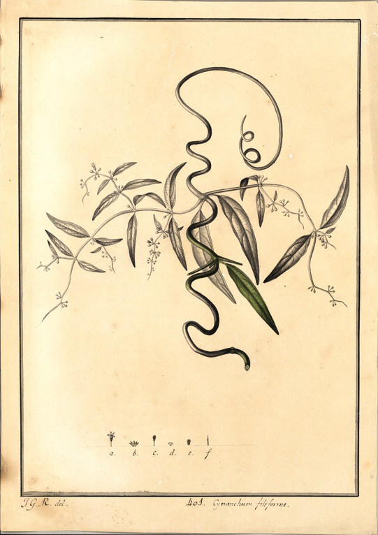 no HD illustration available (3)
