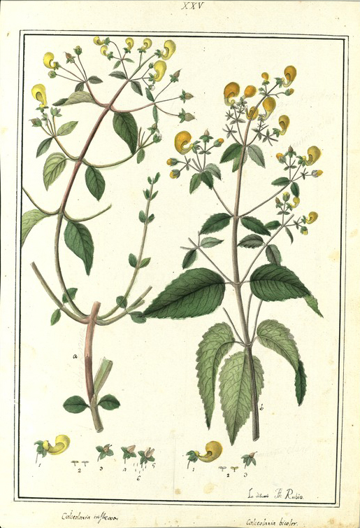 no HD illustration available (3)